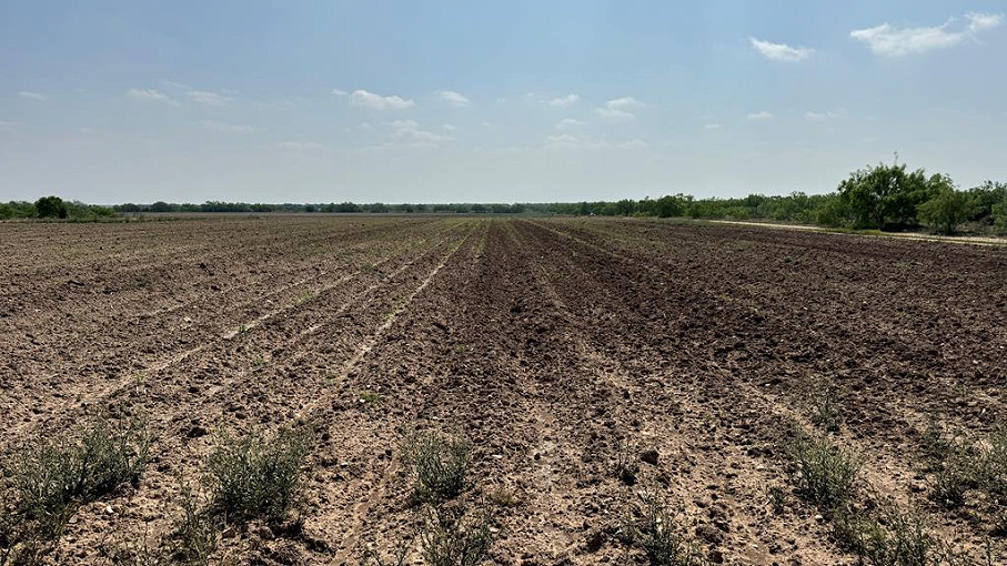 Untermeyer Road Farmland Photo