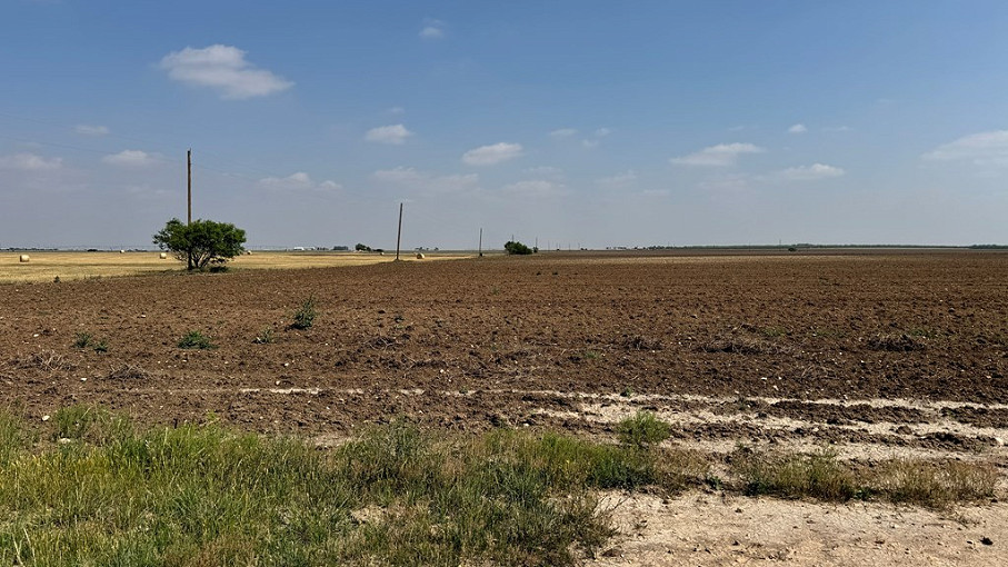 Untermeyer Road Farmland Photo