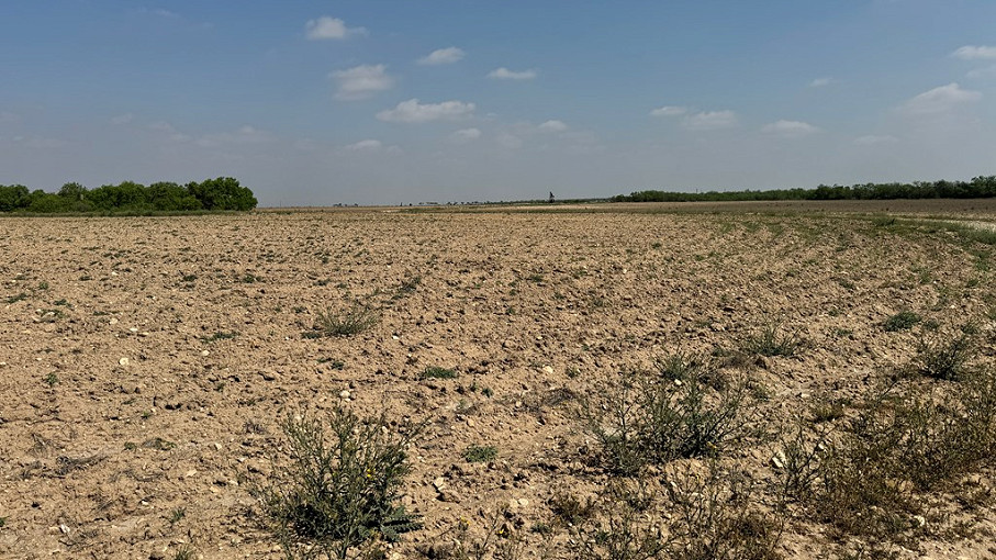 Untermeyer Road Farmland Photo