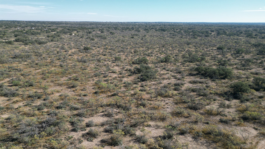 46 AC Hunting Land - Menard County, TX Photo