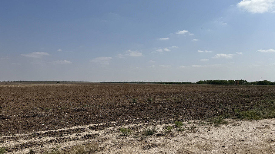 Untermeyer Road Farmland Photo