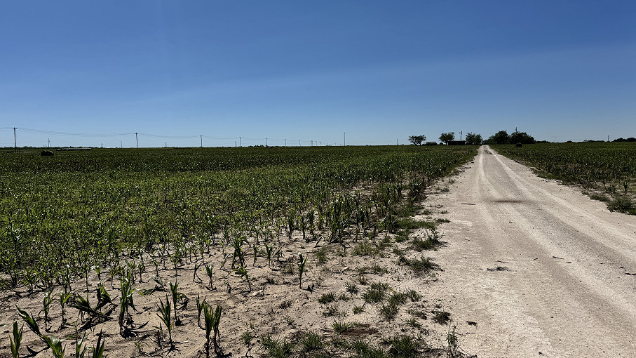 8241 S Ratliff Road, San Angelo, TX - DEVELOPMENT LAND Photo