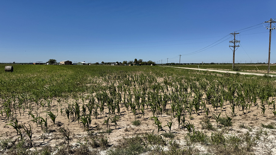 8241 S Ratliff Road, San Angelo, TX - DEVELOPMENT LAND Photo